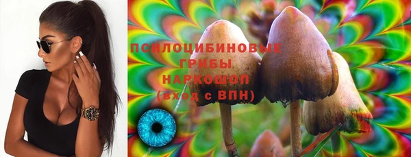 марки lsd Няндома