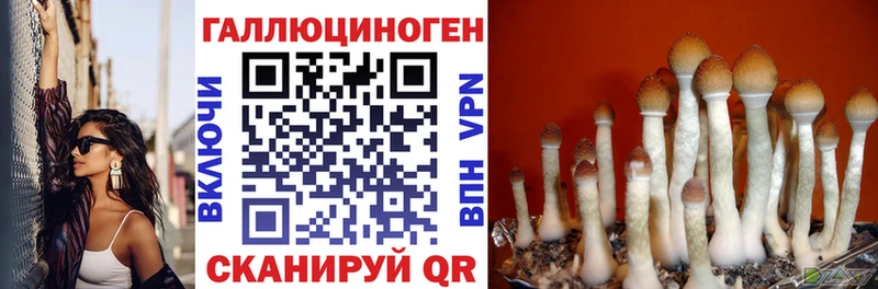 купить наркоту  Сосновый Бор  Псилоцибиновые грибы мухоморы 