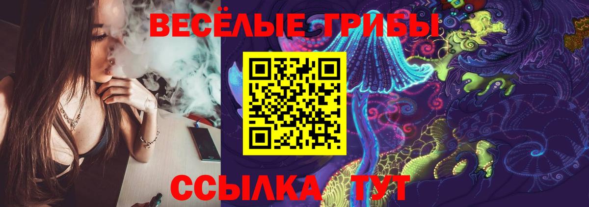 Галлюциногенные грибы GOLDEN TEACHER  Вход с VPN  Сосновый Бор  Галлюциногенные грибы мухоморы 
