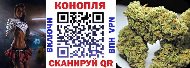 где найти   Сосновый Бор  Бошки марихуана марихуана 